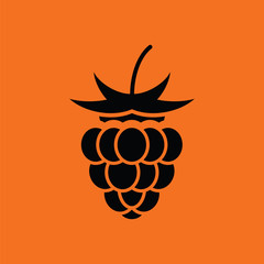 Raspberry icon