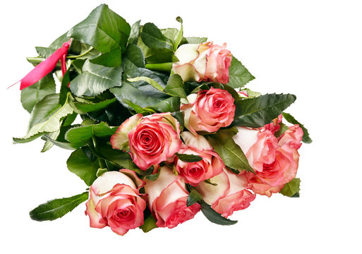 pink roses bouquet on a white background