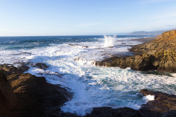 rocky shoreline in the coast of California