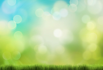 Obraz premium nature green grass blue sky nature spring summer 3d render backg