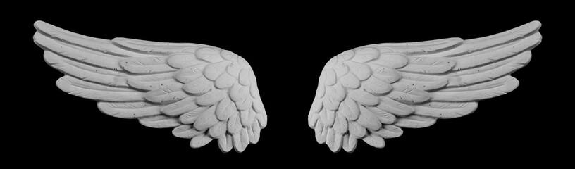 white plaster wing on a black background