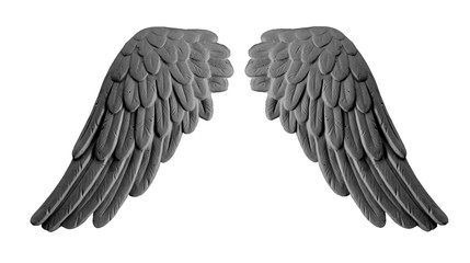 dark plaster wings on isolated white background