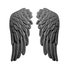 dark plaster wings on isolated white background