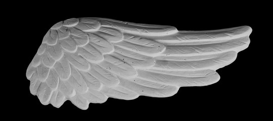 white plaster wing on a black background