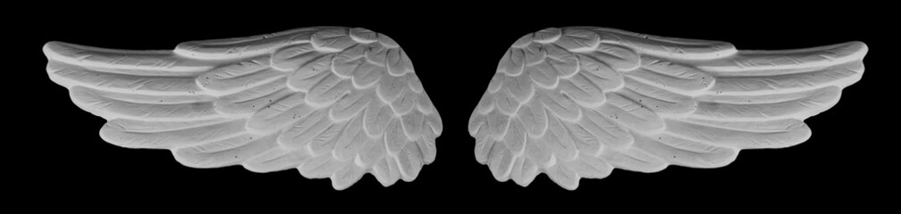 white plaster wing on a black background