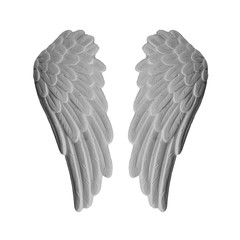 White plaster wings on isolated white background