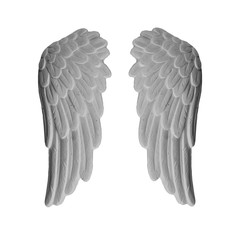 White plaster wings on isolated white background