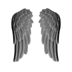 dark plaster wings on isolated white background