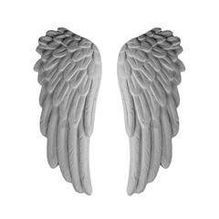 White plaster wings on isolated white background