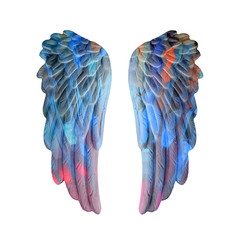 colored plaster wings isolated on white background