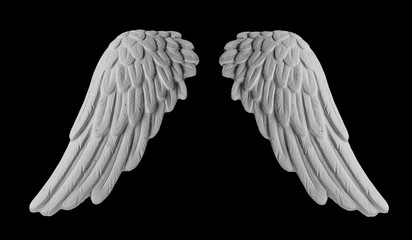 white plaster wing on a black background