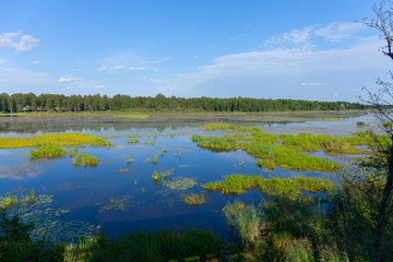 clouded morning on swamp with blue sky reflection