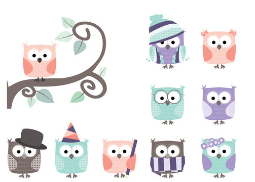 set of cute little cartoon owls / tree branch/ white background