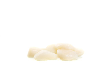 Scallops isolated in white background