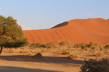 Fototapeta na wymiar Namib Sossusvlei