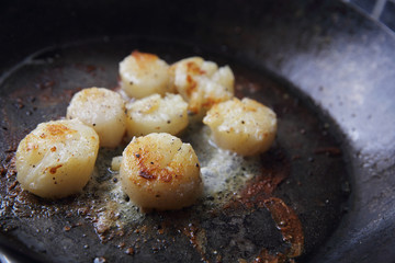 Scallops fried in pan