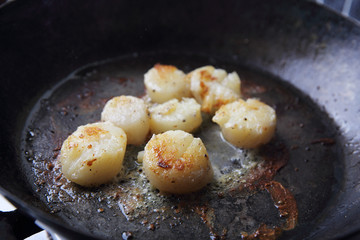 Scallops fried in pan
