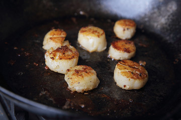 Scallops fried in pan