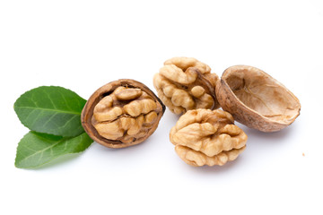 Walnut and walnut kernel isolated on the white background.