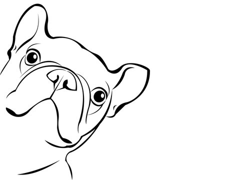 recommend clip art: dog, vector, breed, cute, pet, animal, bulldog