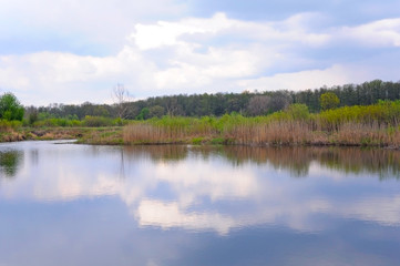 Fototapeta na wymiar River in the spring