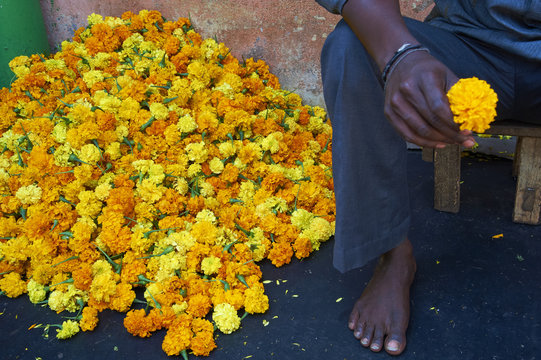 Marigolds, Flower market, Madurai, Tamil Nadu