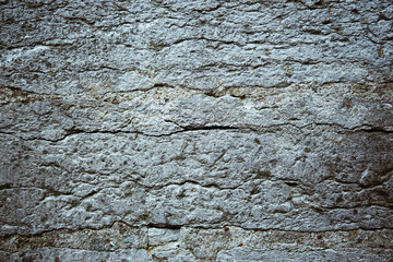 Rough concrete texture of cracked plaster