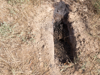 fire pit in the ground