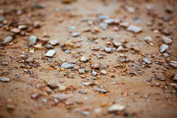 Texture of sand with small stones