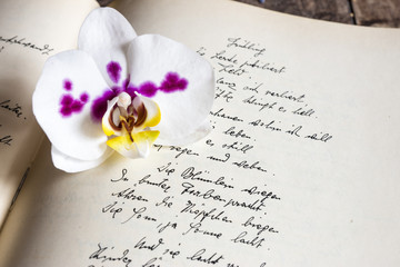 Orchidee, Tagebuch