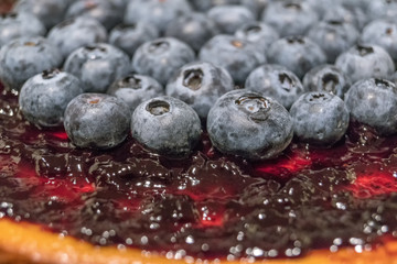 Blueberry cheesecake with details. Homemade cheesecake pie with blueberries and jam. Fruit composition and detailed blueberries and jam.