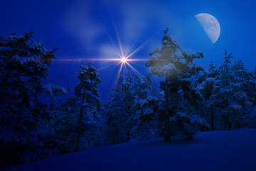 Light over threes with moonlight during winter and evening or ni