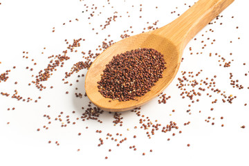 Red Quinoa seeds into a spoon