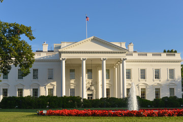 Fototapeta na wymiar The White House - Washington DC, United States