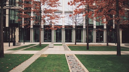 Modern expensive business center. Office buildings with big windows and autumn courtyard