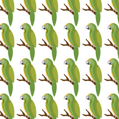 cute parrot isolated icon vector illustration design