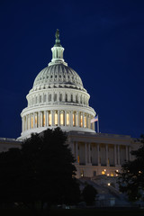 Naklejka premium The Capitol - Washington DC United States