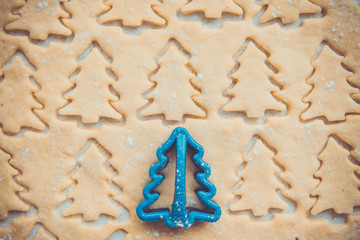 Gingerbread dough for Christmas cookies