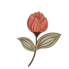 decorative flower isolated icon vector illustration design