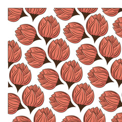 decorative flower pattern background vector illustration design