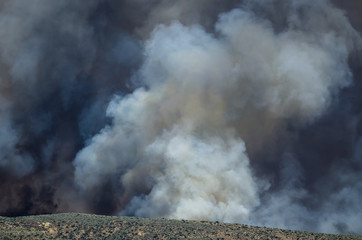 Fototapeta na wymiar Dense White Smoke Rising from the Raging Wildfire