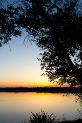 Fototapeta na wymiar tree silhouette on the river on a sunset background
