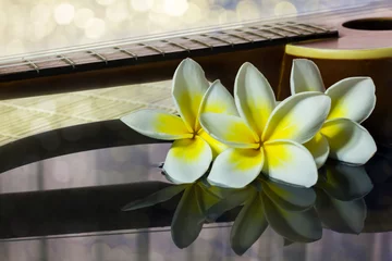 Cercles muraux Frangipanier Frangipani or plumeria flower on water with background ukulele 