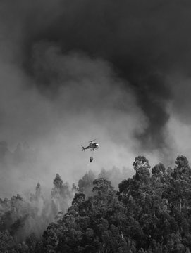 Portuguese Civil Protection Firefighter Helicopter Dropping Water on a Fire , black & white zoom