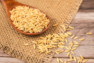 Yellow Thai paddy jasmine rice on wooden plank