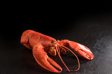 最高級ロブスター　 High-quality lobster