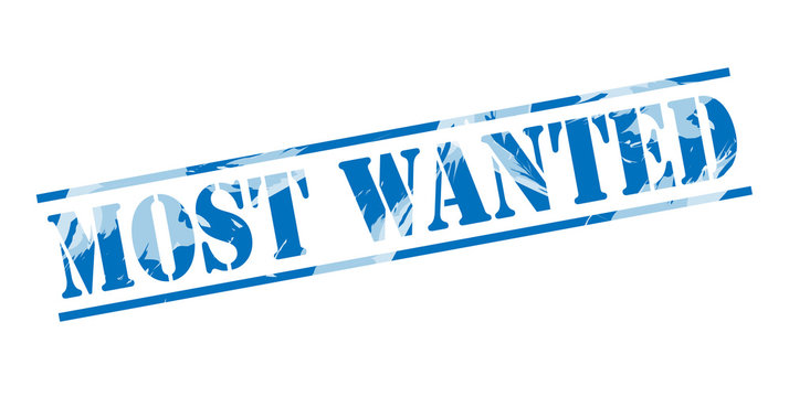 most wanted blue stamp on white background