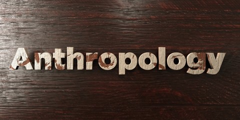 Anthropology - grungy wooden headline on Maple  - 3D rendered royalty free stock image. This image can be used for an online website banner ad or a print postcard.