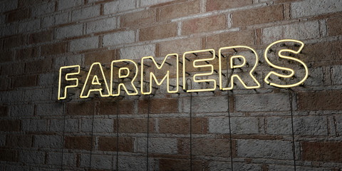 FARMERS - Glowing Neon Sign on stonework wall - 3D rendered royalty free stock illustration.  Can be used for online banner ads and direct mailers..