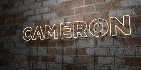 CAMERON - Glowing Neon Sign on stonework wall - 3D rendered royalty free stock illustration.  Can be used for online banner ads and direct mailers..